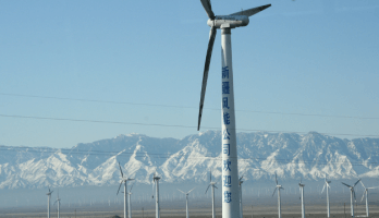 The Role of China and India in Climate Action