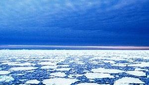 Shell's controversial Arctic campaign - how safe is it?