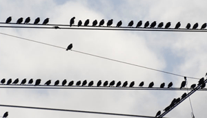 The EU's electricity and gas industries: why are we in this mess and what can be done? Part 2