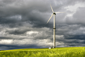 A market test for renewable energy