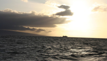 FCNG:  A Solution to Unlock the Full Potential of East Med Hydrocarbons