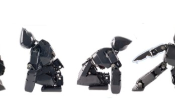 Open Platform Drives Personal Robotics Boom 