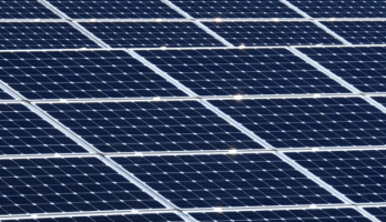 The Effect of Low Oil Prices on Rival Energy Sources