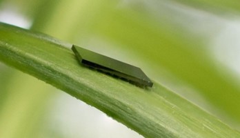 What's next? Smart card with USB?