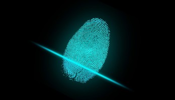 Optical Fingerprint Recognition with the GT-521F52