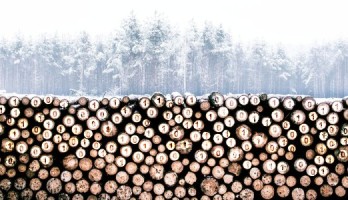 Build a Remote Long-term Logging System for ESP32