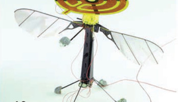 Robot insects land to take a break