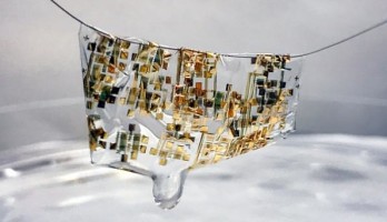 A newly developed flexible, biodegradable semiconductor developed by Stanford engineers shown on a human hair. Image credit: Bao lab.