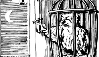 Small Circuits Revival – Episode 9