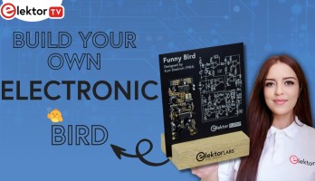 Build Your Own Electronic Funny Bird