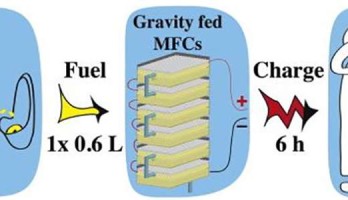 Charge your phone: have a pee in the microbial fuel cell!