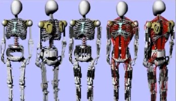 Kenshiro: Roboter mit Muskeln und Skelett