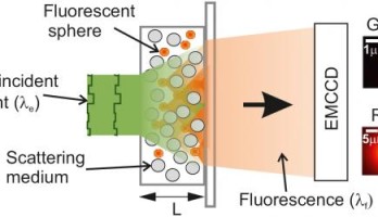 Eine experimentelle Anordnung zur Messung von auf und durch eine opake Schicht fallendes Licht nutzt Fluoreszenz-Mikroskopie