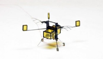 Die neue RoboBee fliegt, taucht und springt aus dem Wasser (Havard University)
 