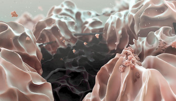 Mikroskopisches Falschfarbenbild: Die schwarze Graphenoxid-Elektrode umringt von Lithiumhydroxid-Partikeln (rosa). Bild: Liu et al., Science