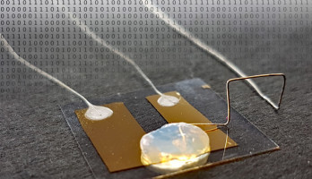 Einzelatom-Transistor in Gel-Elektrolyt. Bild: AG Thomas Schimmel / KIT 