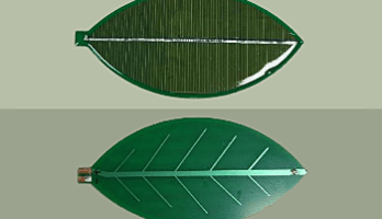 Plus vert que vert : cellule solaire en forme de feuille