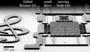 Microlo, plus petit qu'un piccolo
