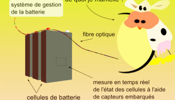 Vous connaissez l'histoire du gars en panne sur une route de campagne ? Une vache s'appro