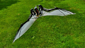 La cybernétique s'attaque aux vampires