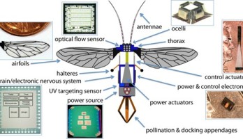 Des abeilles-robots pour sauver des plantes ?