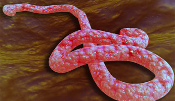 Nanotechnologie contre Ebola