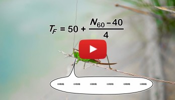 Thermomètre stridulométrique avec un Arduino