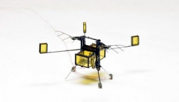 RoboBee : rien à envier aux insectes volants