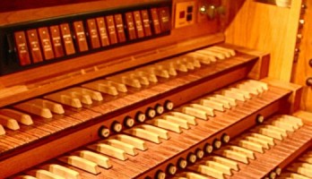 Construis un petit « orgue » pour les enfants