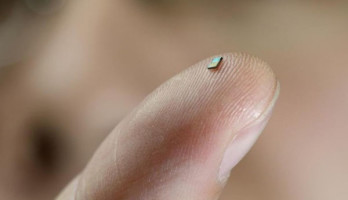 Ce minuscule capteur devrait facilement trouver sa place n'importe où.