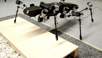 Hector le phasme, premier robot conscient de lui-même