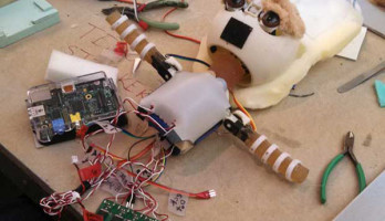 Une loutre au cœur d’Arduino