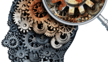 Traits communs dans la communauté d’Elektor