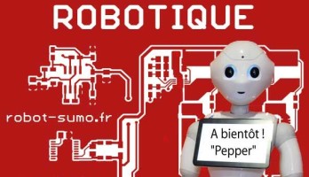 La science ? Un jeu d’enfant grâce à un tournoi de robots sumo!