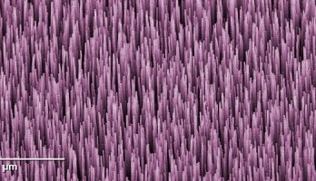 Meetinstrument voor optisch vermogen in glasvezels