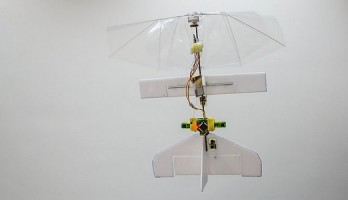 Robotlibelle ontwijkt zelf obstakels