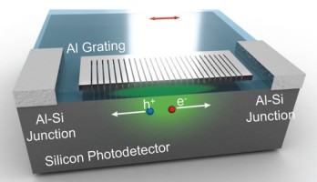 Biomimetische fotodetector 'ziet' in kleur