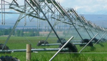 Bouw een systeem om planten automatisch water te geven