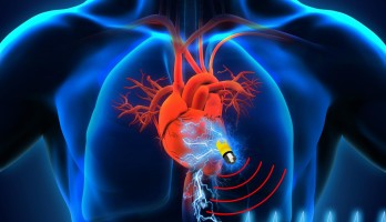 De nieuwe biologische supercondensator kan leiden tot pacemakers en andere implanteerbare apparaten die een leven lang meegaan (afbeelding: Islam Mosa/Universty of Connecticut en Maher El-Kady/UCLA).