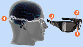 De camera (1) wordt bestuurd door een oogbewegingsdetector (2) en geeft de beelden door aan de processor (3) die het hersenimplantaat aanstuurt (4).