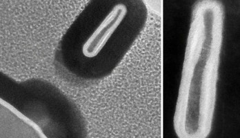 Een FinFET met een breedte van maar 3 nm. Afbeelding: MIT
 