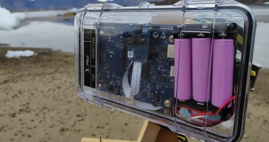 Arctic Wildlife Monitoring Using Edge AI