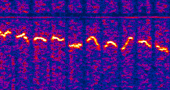Spectrum-Explorer: VB.net Spectrum-Versus-Time Analyzer für den Arduino-Datalogger