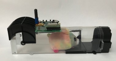 My mouse is connected to the Wide Area Network !