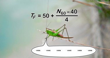Emulating a Thermometer Cricket with Arduino