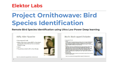 Project Ornithowav: Bird Species Identification