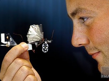 DelFly, the Autonomous Robot Dragonfly