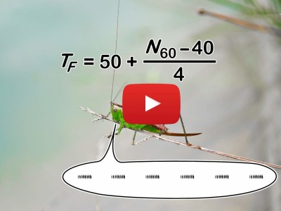 Build an Arduino-based Thermometer Cricket