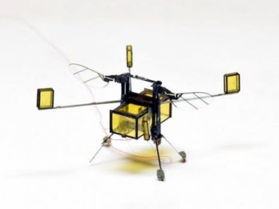 RoboBee can do everything a flying insect can