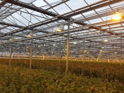 DC-powered greenhouse saves 30% on energy bill